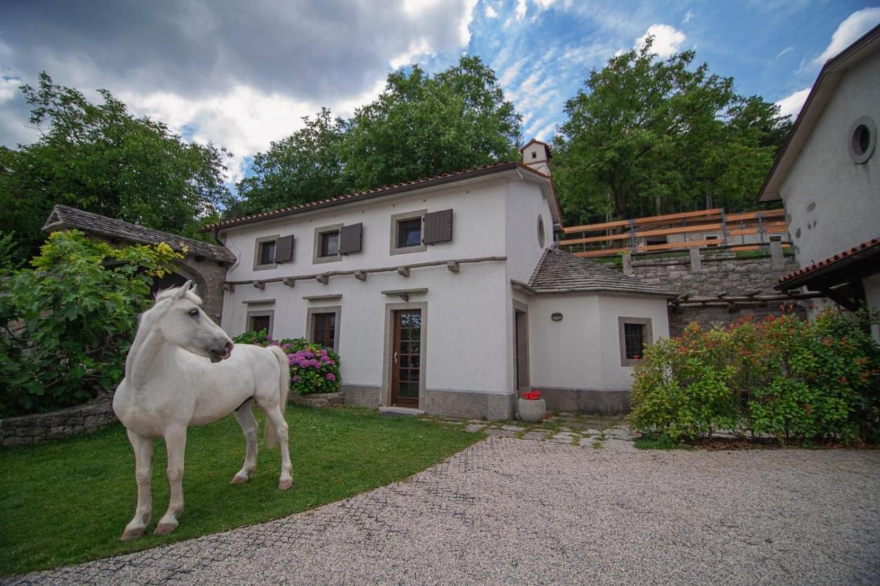 Tmbin'S Barn - Nature, Horses, Family Sežana Eksteriør billede