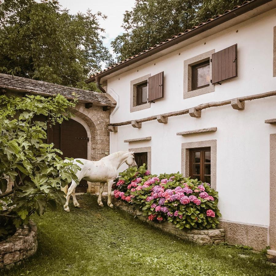 Tmbin'S Barn - Nature, Horses, Family Sežana Eksteriør billede