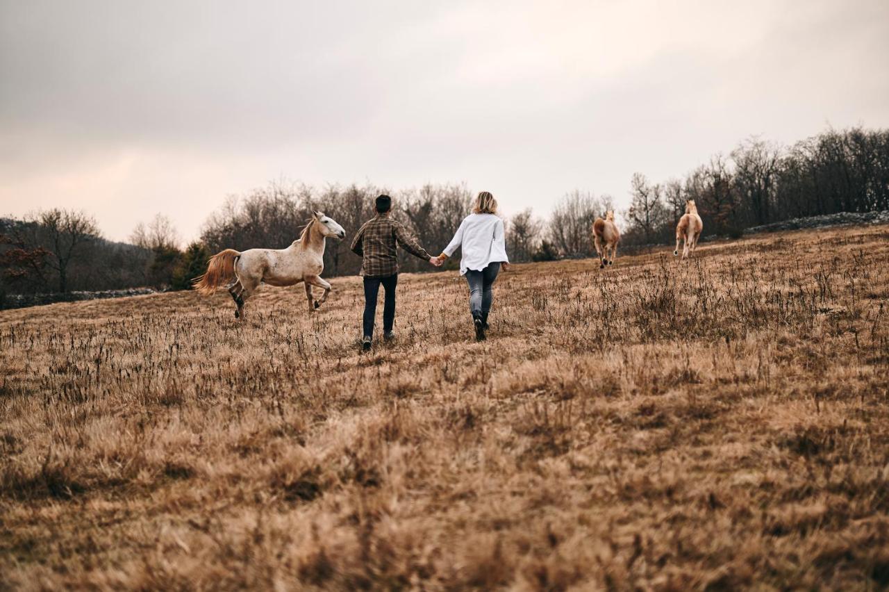 Tmbin'S Barn - Nature, Horses, Family Sežana Eksteriør billede