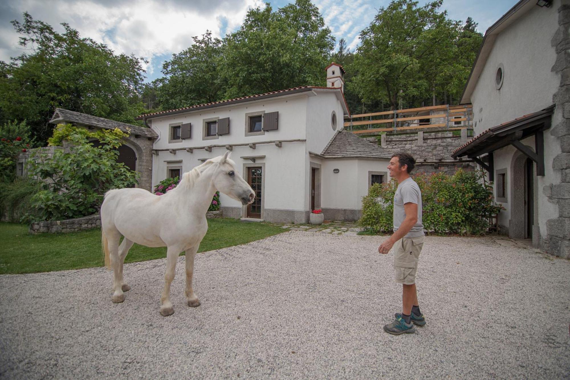 Tmbin'S Barn - Nature, Horses, Family Sežana Eksteriør billede