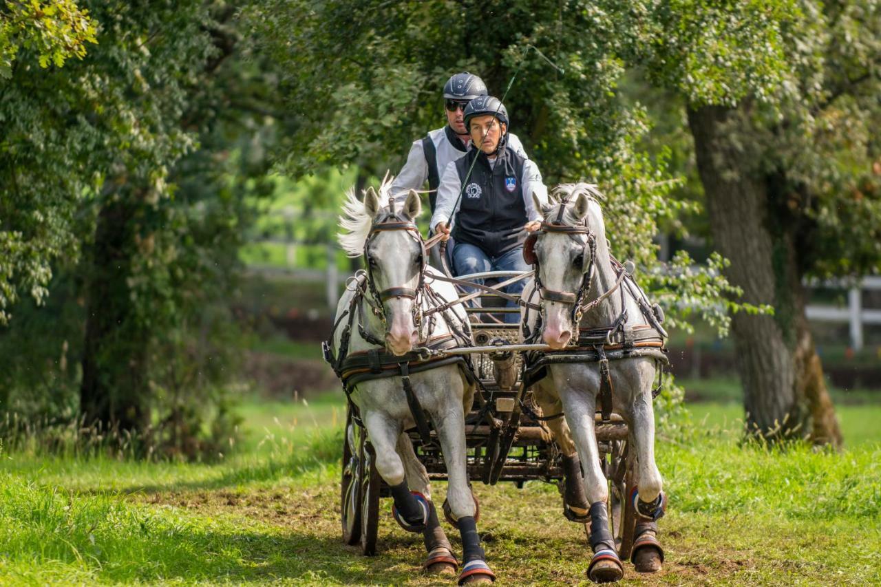 Tmbin'S Barn - Nature, Horses, Family Sežana Eksteriør billede